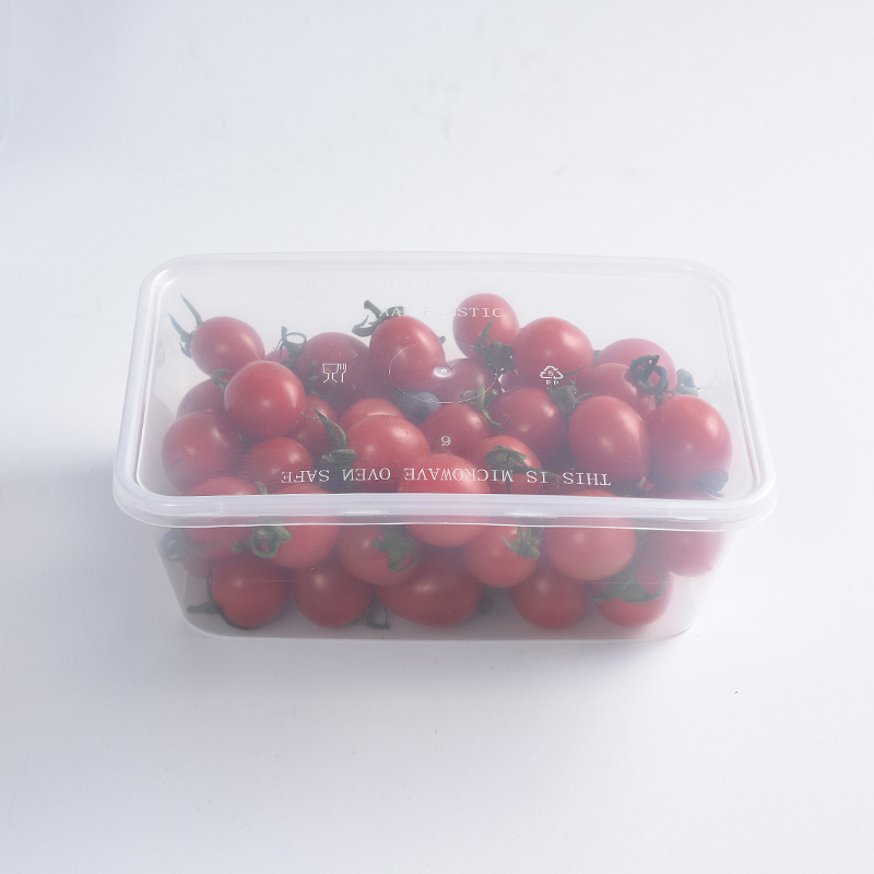 Portable Leakproof Plastic Transparent Lunch Box