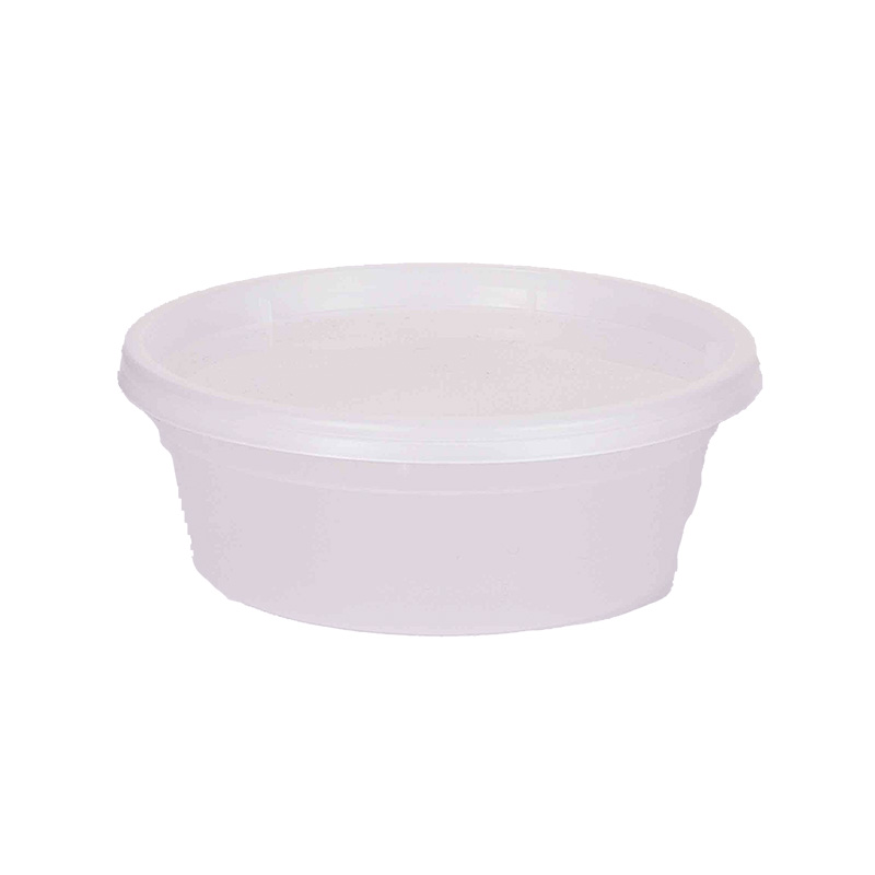 Deli container&lid S1008